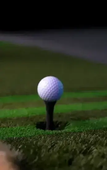 Auto-Tee